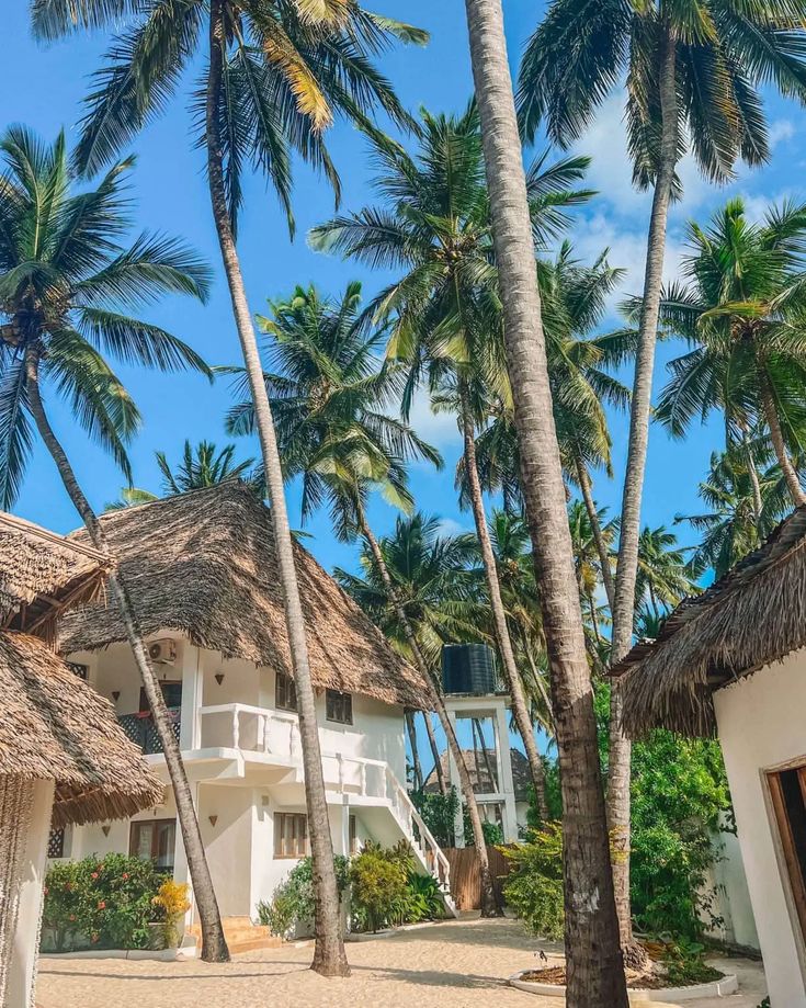 Zanzibar Spice Trails